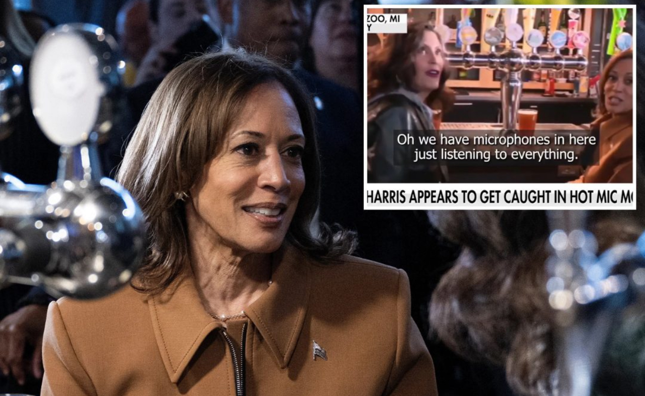 Kamala Harris Caught Admitting her Campaign Needs Help Appealing to Male Voters